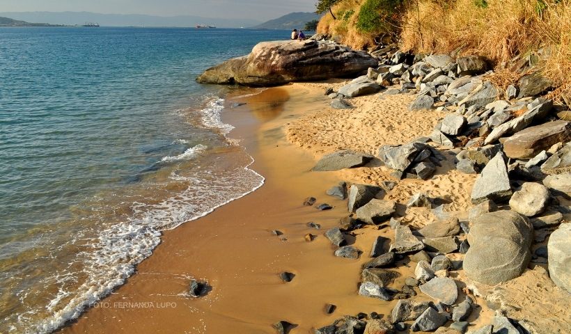 praia-brava-capa