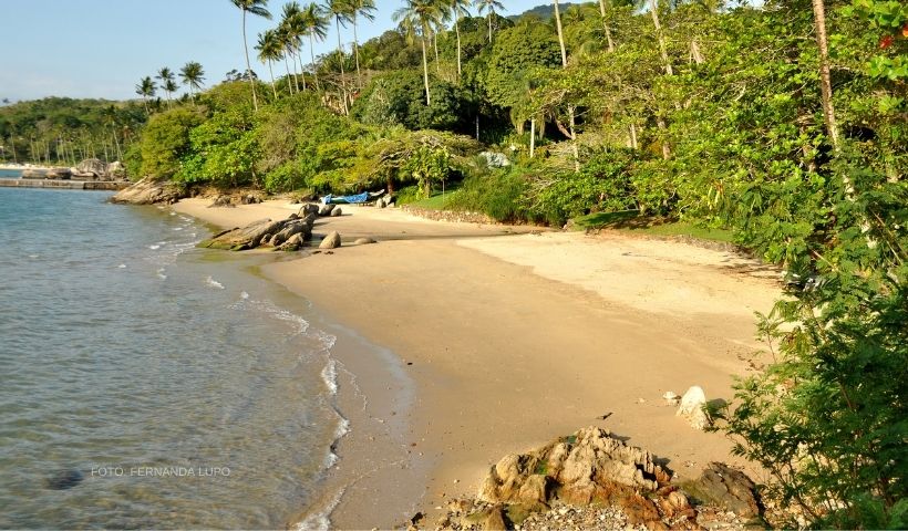 praia-do-arrozal-capa