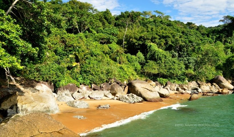 prainha-das-galhetas-capa