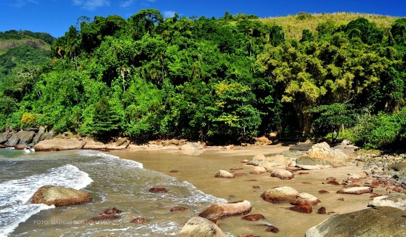 prainha-do-gato-capa