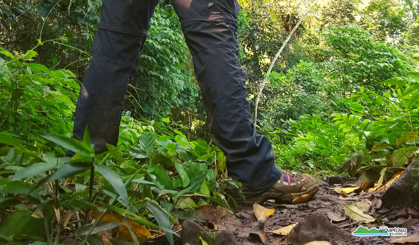 Cachoeira do Paquetá 5 – Ilhabela