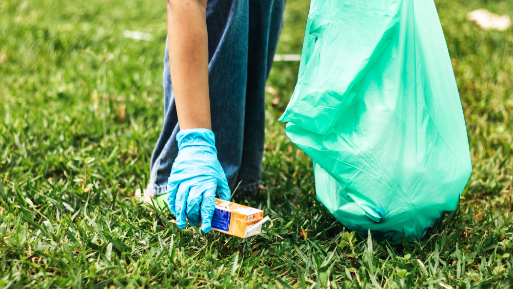 Clean Up Day Ilhabela