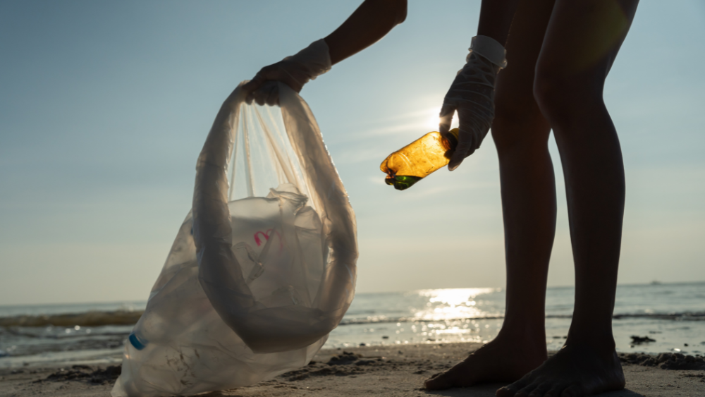 Clean Up Day Ilhabela