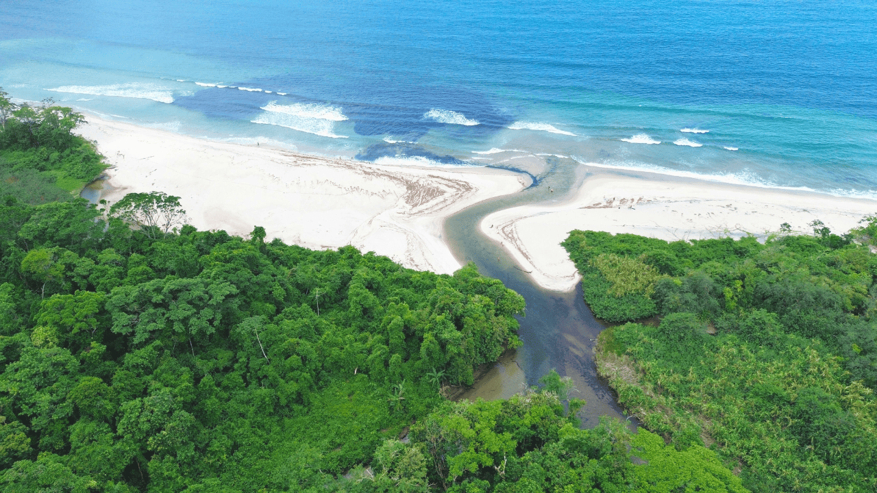 O que Fazer em Ilhabela